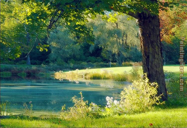 Quiet Pond painting - Albert Bierstadt Quiet Pond art painting